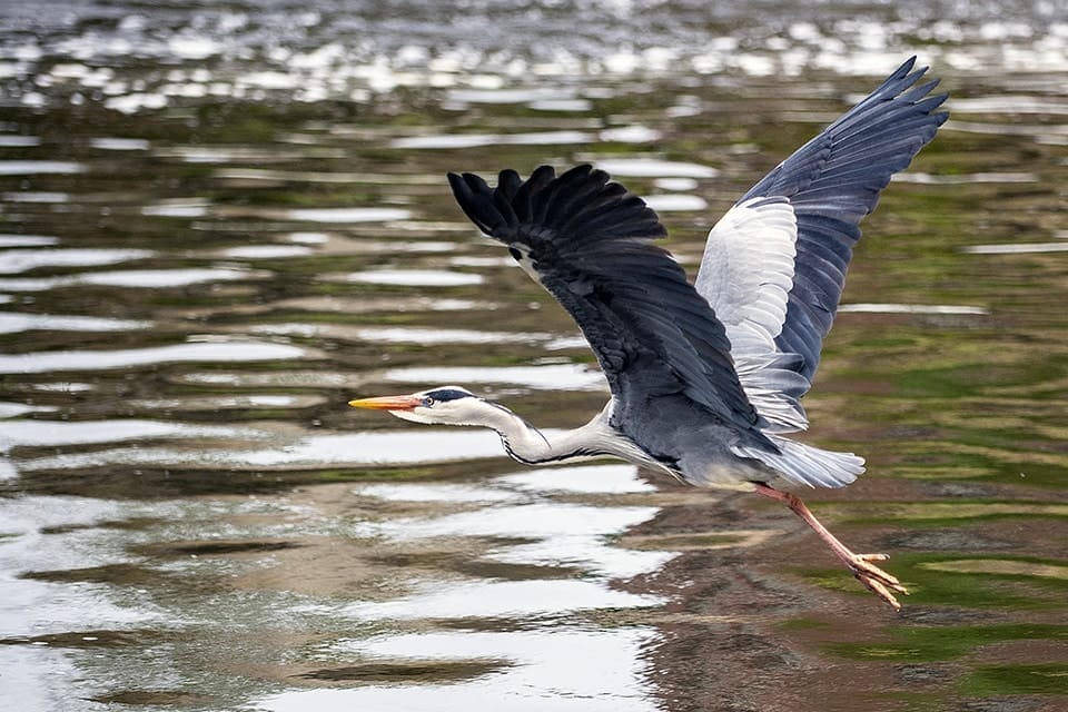 PR Photographer Edinburgh