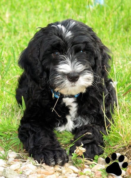 Helpdesk, live chat on our website Henry 1 - Helpdesk, live chat on our website