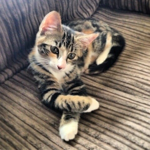 20130827 122006 PM - News from Warren Media...